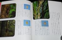 科学のアルバム16　セミの一生