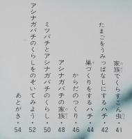 科学のアルバム43　アシナガバチ
