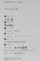 科学のアルバム43　アシナガバチ