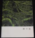【映画パンフ】樹の海　2005年/監督：瀧本智行/萩原聖人/井川遥/ポストカード付き