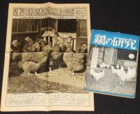 鶏の研究　昭和26年2月号　ポールトリーニューズ 19號付/七面鳥/ニューハンプシャー