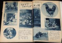 鶏の研究　昭和26年2月号　ポールトリーニューズ 19號付/七面鳥/ニューハンプシャー