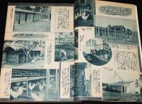 鶏の研究　昭和26年3月号　ポートリーニューズ 20号付/横斑プリマスロック種/七面鳥