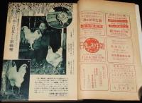 鶏の研究　昭和26年4月号　ポートリーニューズ 21号付/チックテスター/バタリー育雛法