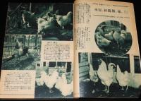 鶏の研究　昭和26年4月号　ポートリーニューズ 21号付/チックテスター/バタリー育雛法