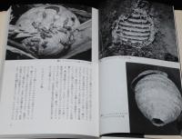 スズメバチはなぜ刺すか　スズメバチの社会/巣の駆除法
