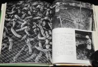 岩波科学の本15　カイコの病気とたたかう　カイコの病原菌で害虫を殺す