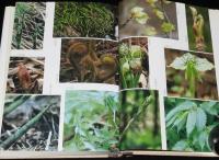 秋田の博物誌　山菜とキノコの話/山椒魚の話/藻・草・木/鳥獣虫魚