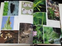 秋田の博物誌　山菜とキノコの話/山椒魚の話/藻・草・木/鳥獣虫魚