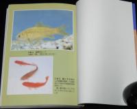 ポピュラー・サイエンス　魚の世界　ミクロからマクロへ