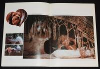 【映画パンフ】ベンジー Benji　1976年公開時パンフ/ジョー・キャンプ/チラシ付き