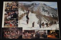 【映画パンフ】あゝ野麦峠　東宝　昭和54年　山本薩夫/大竹しのぶ/原田美枝子