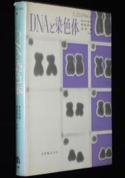 DNAと染色体