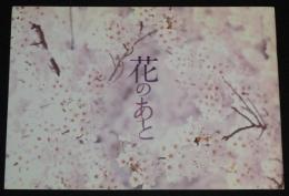 【映画パンフ】花のあと　東映　2010年/藤沢周平/中西健二/北川景子/甲本雅裕