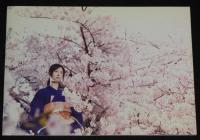 【映画パンフ】花のあと　東映　2010年/藤沢周平/中西健二/北川景子/甲本雅裕