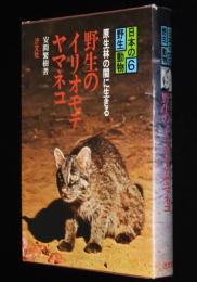 日本の野生動物6　野生のイリオモテヤマネコ　原生林の闇に生きる