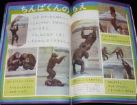 1年のかがく　1968年8月号　ふんすい・あさがお/潜水艇 深海号/ジェットコースター