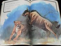 1年のかがく　1968年11月号　くだもの・シーソー/きかんしゃ/超特急ひかり号