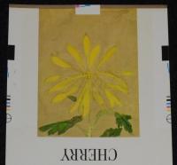【印刷見本たばこパッケージ】天皇陛下御在位50年記念 1976　日本専売公社　昭和51年