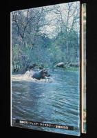 ジュニア・ライブラリー　シンバと森の戦士の国　ジャンボ・アフリカ 第2部