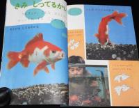 1年のかがく　1968年6月号　今月の理科：きんぎょ・てんきしらべ/SST/くさぶえ