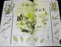 1年のかがく　1968年6月号　今月の理科：きんぎょ・てんきしらべ/SST/くさぶえ