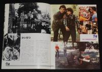 【映画パンフ】マイ・ボディガード　東宝東和　1981年公開時パンフ/マット・ディロン