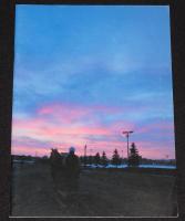 【映画パンフ】雪に願うこと　2006年/原作：鳴海章/伊勢谷友介/佐藤浩市/小泉今日子