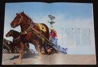 【映画パンフ】雪に願うこと　2006年/原作：鳴海章/伊勢谷友介/佐藤浩市/小泉今日子