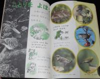 1年のかがく　1969年1月号　じしゃく・ふゆのいきもの/ロケット/サターン5号