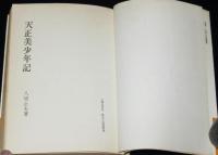 天正美少年記　歴史小説選書10