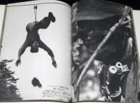 読売報道写真集1962　昭和36年4月～昭和37年3月