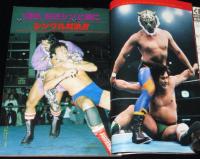 プロレス 昭和56年12月号 蔵前が再び燃えた日/アントニオ猪木