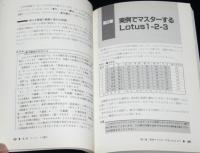 一夜漬Lotus1‐2‐3Plus　成功！シリーズ