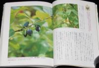 北国の楽しみ　北海道の木の実　見分け方から利用法まで