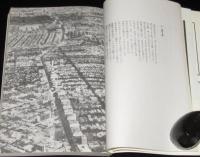 ユリイカ[詩と批評] 1989年2月号　特集：ピンチョン 現代アメリカ最大の問題作家