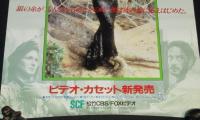 【映画ポスター】蜘蛛女のキス　ビデオ・カセット新発売