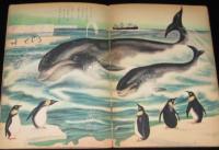 永晃社の特選絵本17　海の動物