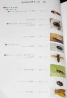 わが家の虫図鑑　新装改訂版