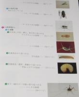 わが家の虫図鑑　新装改訂版