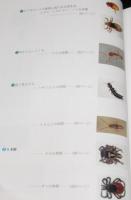 わが家の虫図鑑　新装改訂版