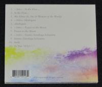 【CD】AYUMI UEDA　In the Flow...　　植田あゆみ 1st アルバム