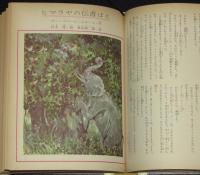 世界の名作図書館38　ジャングルの王子／ヒマラヤの伝書ばと　箱欠