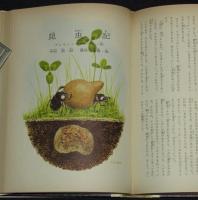 世界の名作図書館47　シートン動物記／ファーブル昆虫記　箱欠