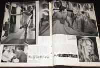 映画情報 1959年11月号　団令子/柏木優子/ブリジッド・バルドオ/ミレーヌ・ドモンジョ