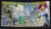 ヒーロー超ひゃっか19　百獣戦隊ガオレンジャー 全戦力ファイル/金子昇/玉山鉄二
