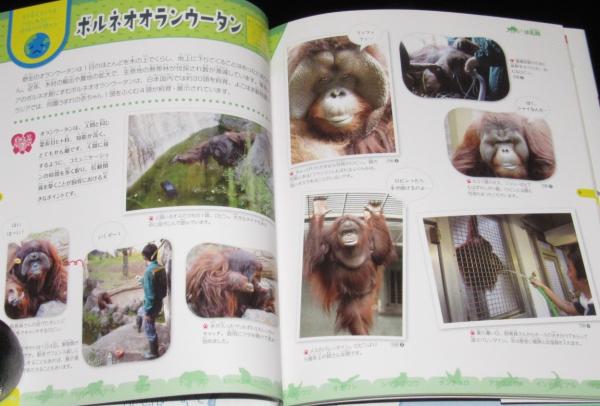 滅びゆく動物図鑑 絶滅から救え！日本の動物園＆水族館（3）外来
