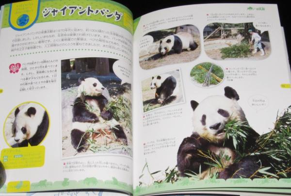 滅びゆく動物図鑑 絶滅から救え！日本の動物園＆水族館（1）棲む