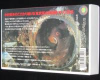 【VHSビデオ】中村征夫　東京湾　江戸前生物の海中劇場