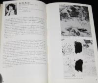 北海道版画協会作品集　昭和51年/石河英治/岩崎弘道/須田三代治/手島圭三郎/星野修三